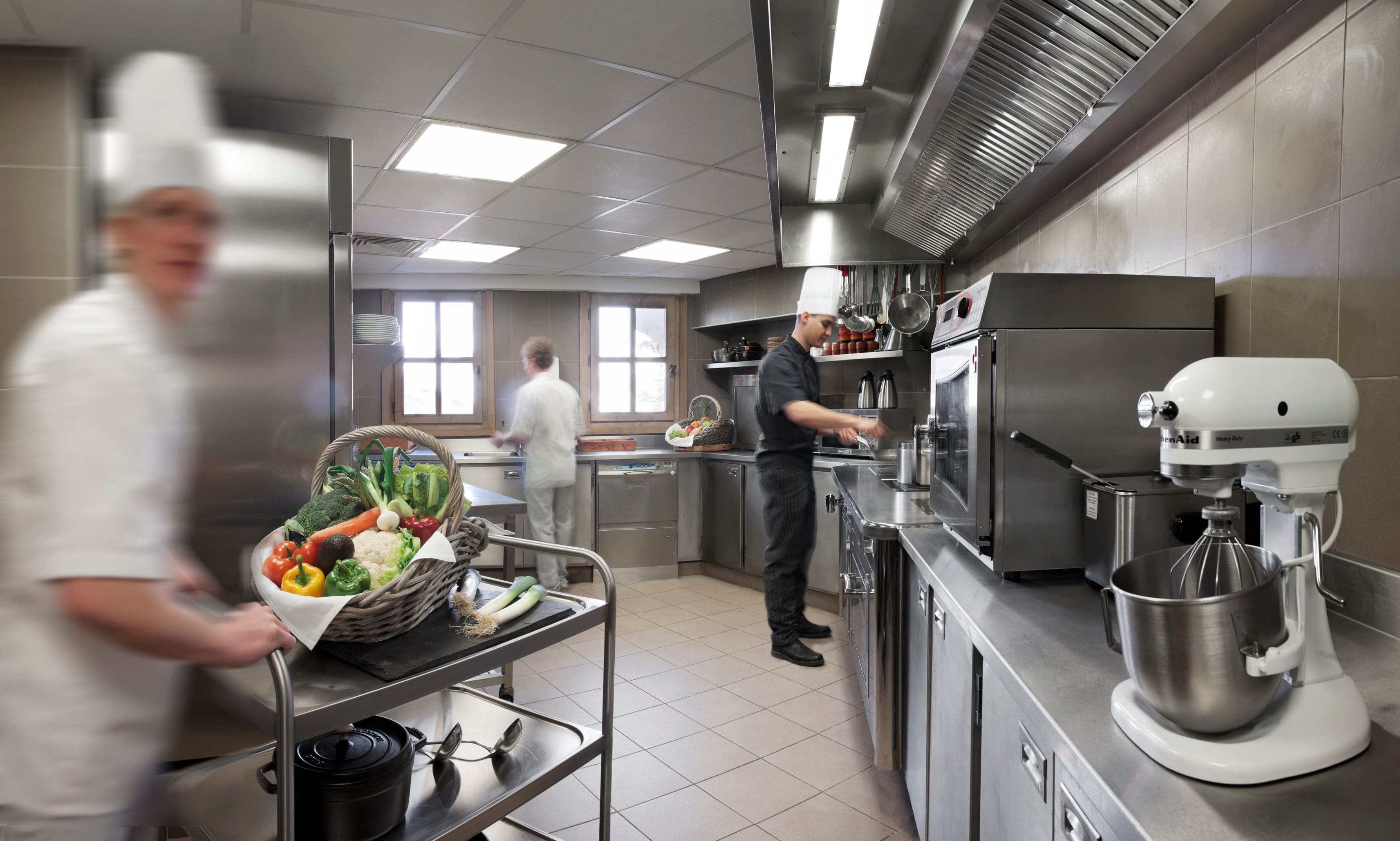 Experiences & Lifestyle